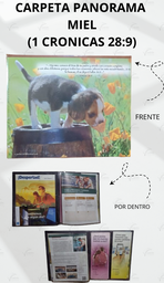 [CP1-1LM] CARPETA PANORAMA (1 CRONICAS 28:9) C/MICA P/TARJETA CALIFORNIA MIEL